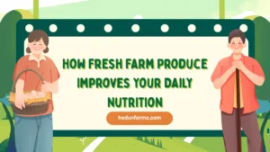 How Fresh Farm Produce Improves Your Daily Nutrition