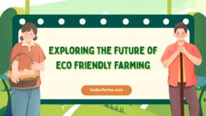 Exploring the Future of Eco Friendly Farming