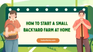 How to Start a Small Backyard Farm at Home