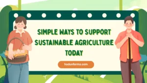 Simple Ways to Support Sustainable Agriculture Today