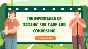 The Importance of Organic Soil Care and Composting