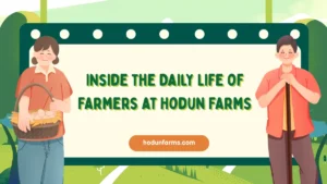 Inside the Daily Life of Farmers at Hodun Farms